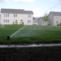 Watering