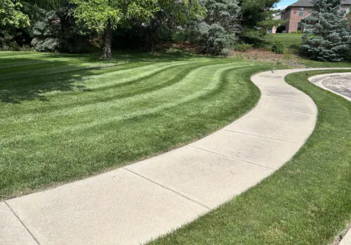 Mowing