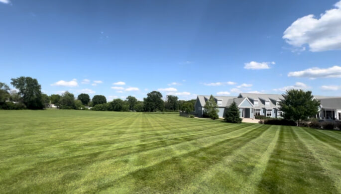 Lawn Maintenance