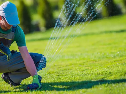 Watering