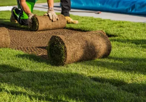 Sod and Seeding