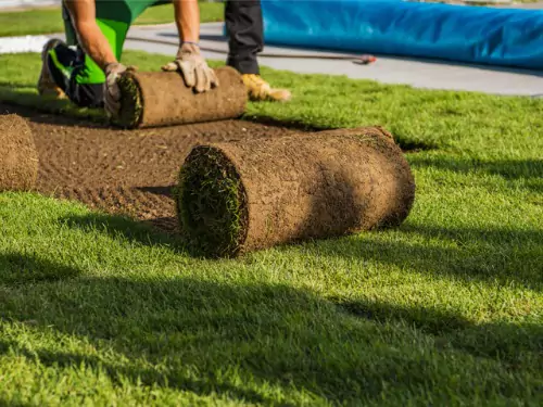 Sod and Seeding
