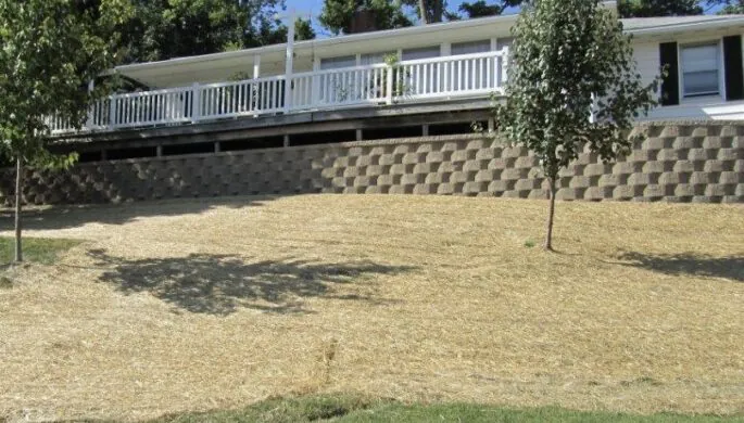 Reseeding project completed by Mark Hoerr Landscaping