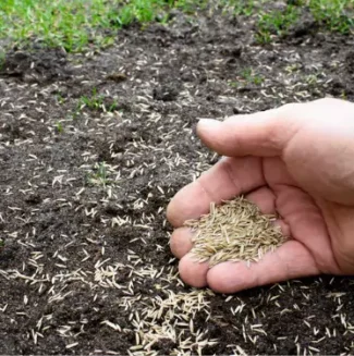 A hand spreading seed on a dirt patch, part of ground work services from Mark Hoerr Landscaping