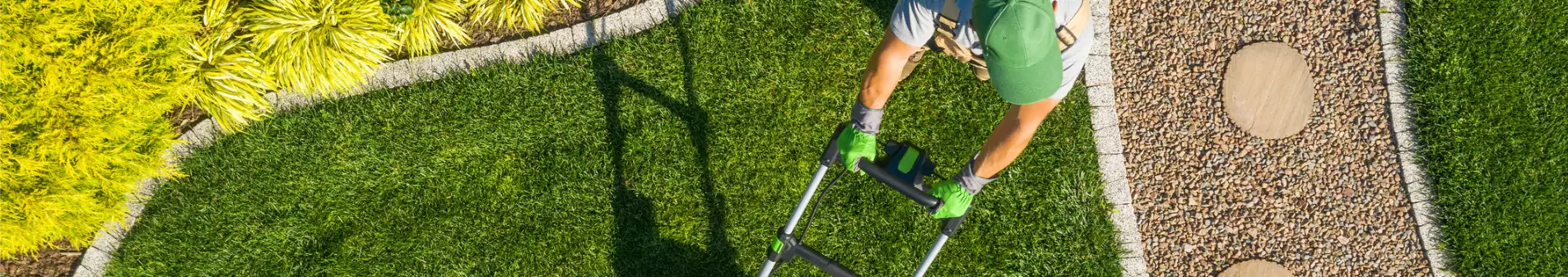 Lawn Maintenance