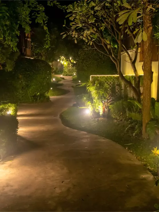 A garden pathway with outdoor lighting, installed by Mark Hoerr Landscaping