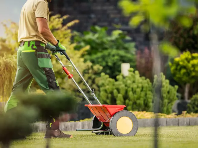 A gardener pushing a spreader for fertilization, part of Mark Hoerr Landscaping's lawn care services